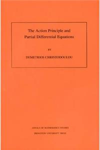 The Action Principle and Partial Differential Equations