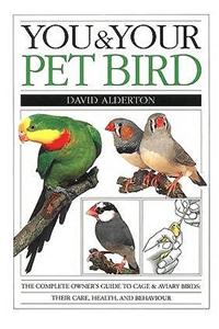You & Your Pet Bird