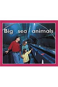 Big Sea Animals