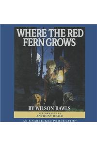 Where the Red Fern Grows