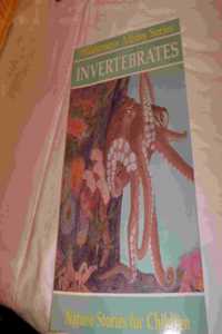 Invertebrates