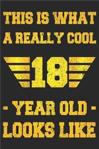 A Really Cool 18 Year Old