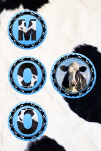 Moo