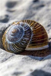 Pretty Shell in the Sand Journal