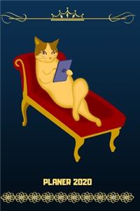 Planer 2020