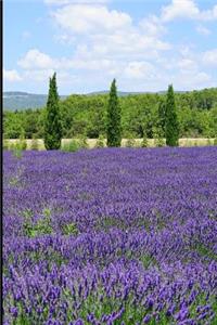 Beautiful Lavender Fields and Cypress Trees Journal