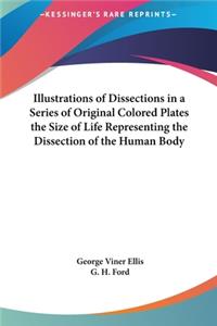 Illustrations of Dissections in a Series of Original Colored Plates the Size of Life Representing the Dissection of the Human Body