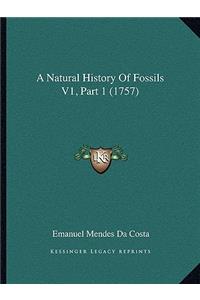 A Natural History Of Fossils V1, Part 1 (1757)