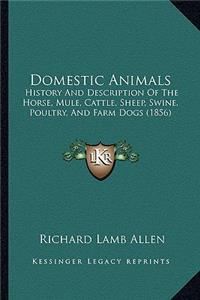 Domestic Animals