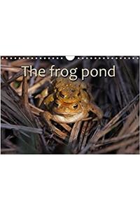 Frog Pond / UK-Version 2018