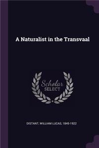 A Naturalist in the Transvaal
