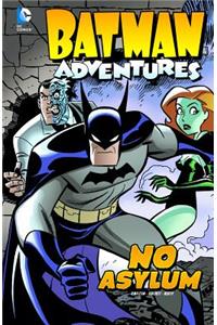 Batman Adventures: No Asylum