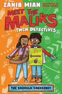 Meet the Maliks - Twin Detectives: Meet the Maliks Book 3