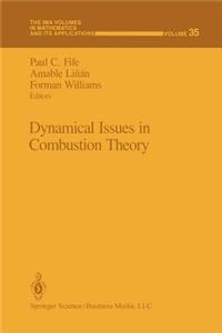 Dynamical Issues in Combustion Theory