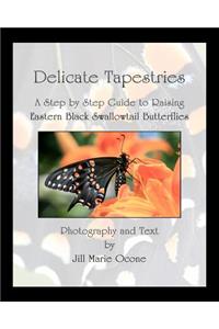 Delicate Tapestries: A Step by Step Guide to Raising Eastern Black Swallowtail Butterflies