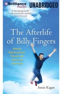 Afterlife of Billy Fingers