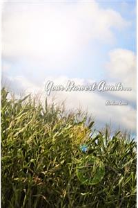Your Harvest Awaits