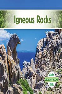 Igneous Rocks