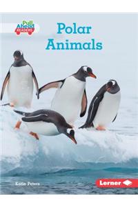 Polar Animals