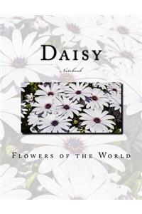 Daisy Notebook
