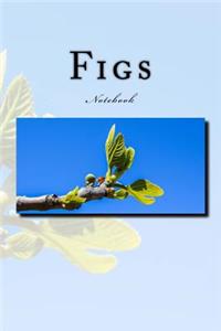 Figs Notebook