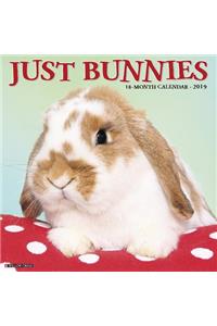 Just Bunnies 2019 Wall Calendar