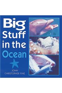 Big Stuff in the Ocean