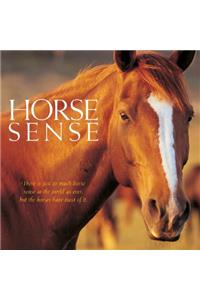 Horse Sense