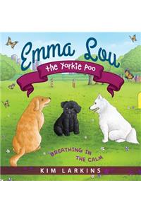 Emma Lou the Yorkie Poo