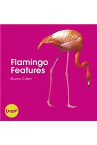 Flamingo Features