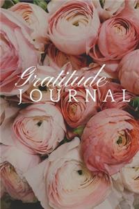 My Gratitude Journal