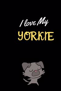 I love My yorkie