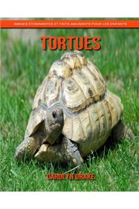 Tortues