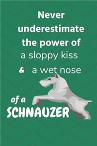 Never underestimate the power of a sloppy kiss and a wet nose of a Schnauzer