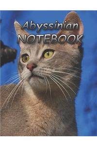 Abyssinian NOTEBOOK