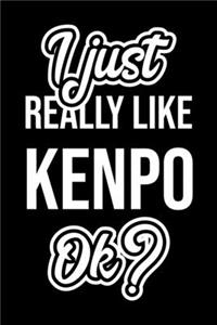 I Just Really Like Kenpo Ok?