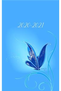 2020-2021