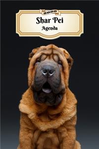 2020 Shar Pei Agenda