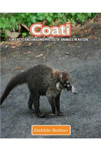 Coati: Fun Facts and Amazing Photos of Animals in Nature