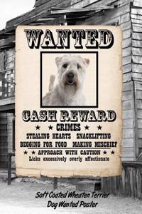 Soft Coated Wheaten Terrier Dog Wanted Poster