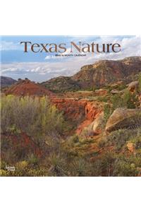 Texas Nature 2020 Square Foil