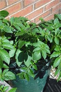 Homegrown Organic Potato Plants Journal