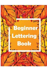 Beginner Lettering Book