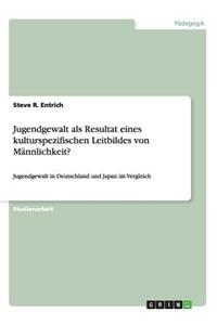 Jugendgewalt als Resultat eines kulturspezifischen Leitbildes von Männlichkeit?