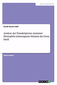 Analyse des Transkriptoms mutanter Drosophila melanogaster Stämme des Gens DmX