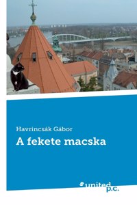 A fekete macska