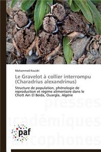 Le Gravelot À Collier Interrompu (Charadrius Alexandrinus)