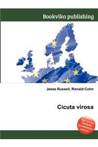 Cicuta Virosa
