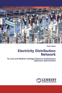 Electricity Distribution Network