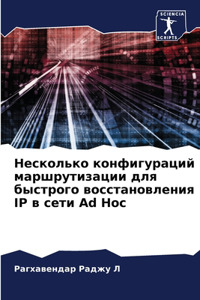 Несколько конфигураций маршрутизации дл&